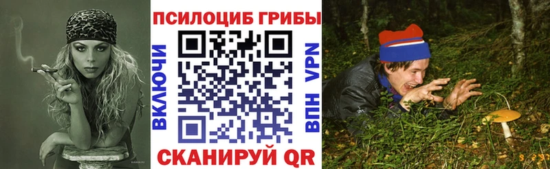 продажа наркотиков  Ливны  Псилоцибиновые грибы Magic Shrooms 